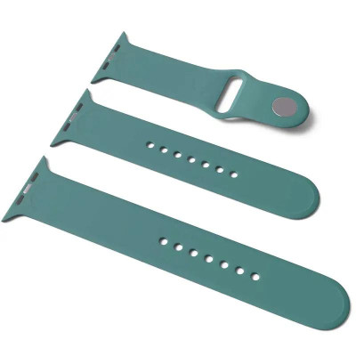 Ремінець силіконовий для Apple Watch Sport Band 38/40/41/42mm(ser.10) (S/M and M/L) 3pcs- світлий кактус