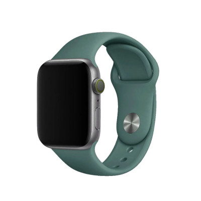 Ремінець силіконовий для Apple Watch 38/40/41/42mm(ser.10) (L)- №4 сосново-зелений