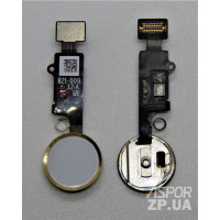 Шлейф відбитка пальця для iPhone 8g / 8 Plus White Шлейф відбитка пальця для iPhone 8g / 8 Plus White